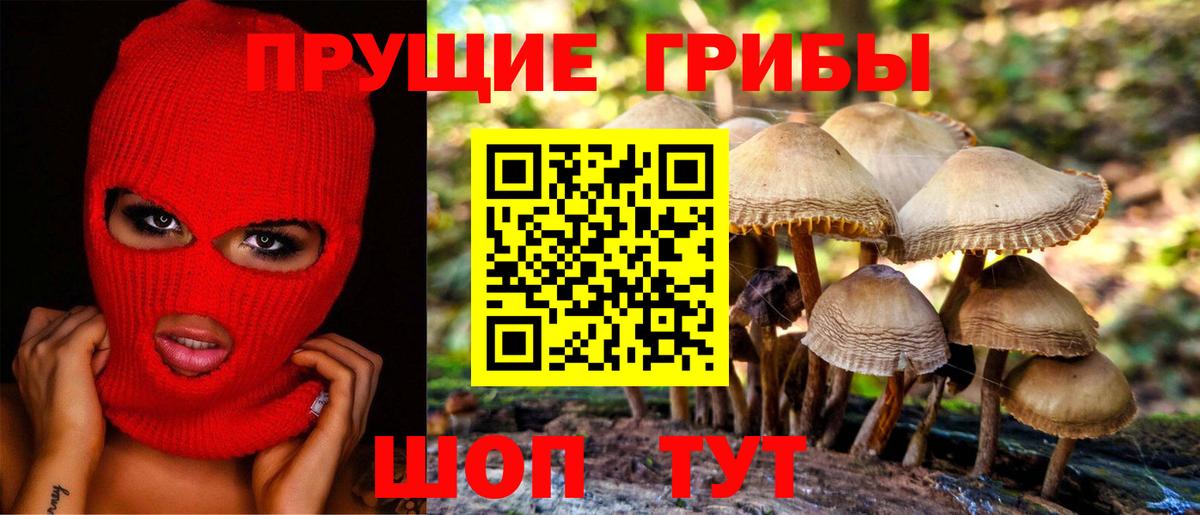 Галлюциногенные грибы прущие грибы  Вход с VPN  Черняховск 